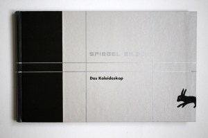 diplom_spiegelbilder3