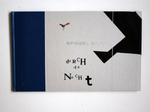 diplom_spiegelbilder40