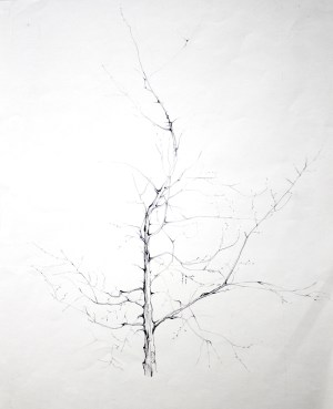 tatjana_lorenz_strassburg5