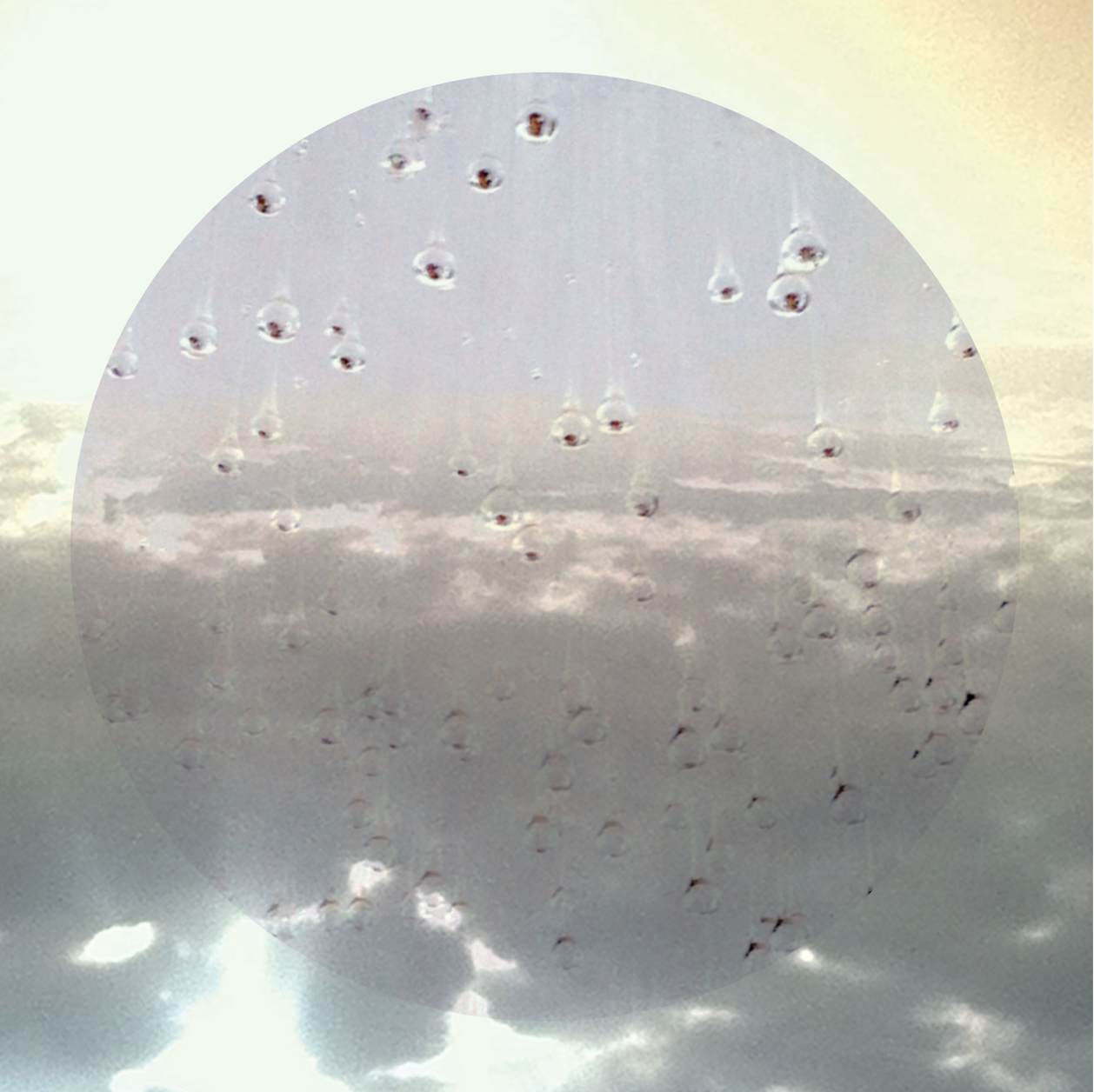 Screen Shot 2018-12-08 at 16.30.20