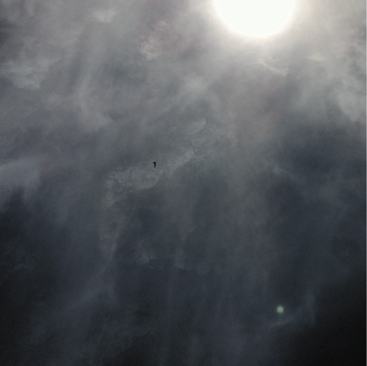 Screen Shot 2018-12-08 at 16.30.29